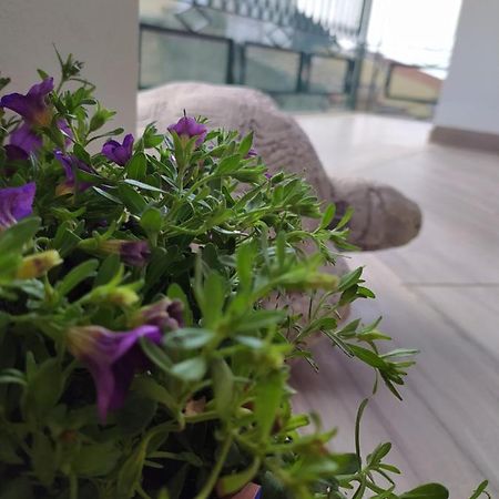 Attico Gloria & Greta Apartment Castellammare del Golfo Bagian luar foto